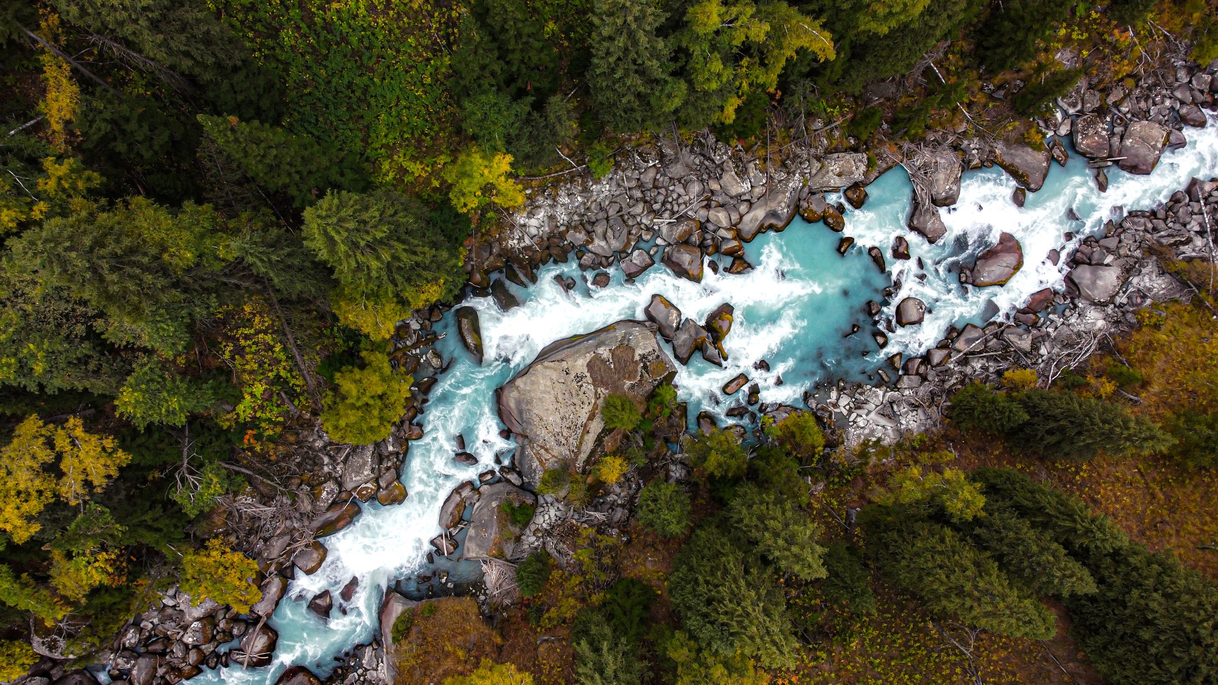 A turquoise mountain river winding through evergreen forest