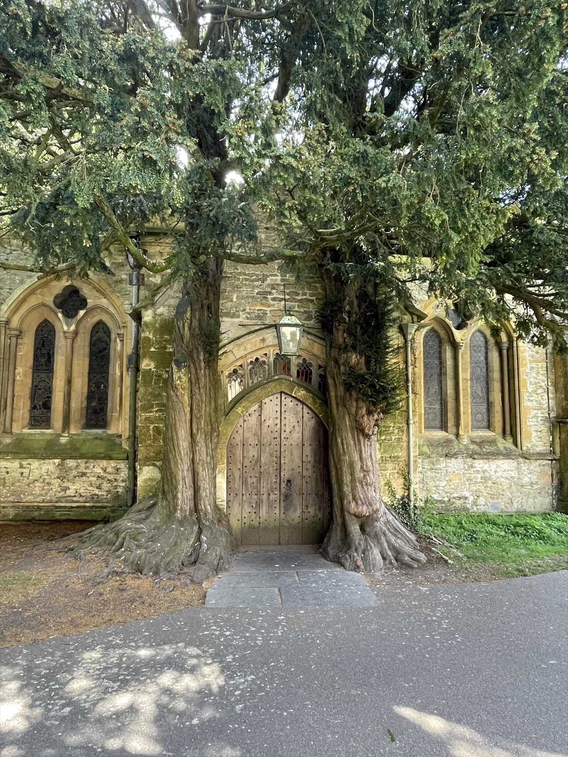 Ancient yew trees framing the arched wooden door of a quiet stone church