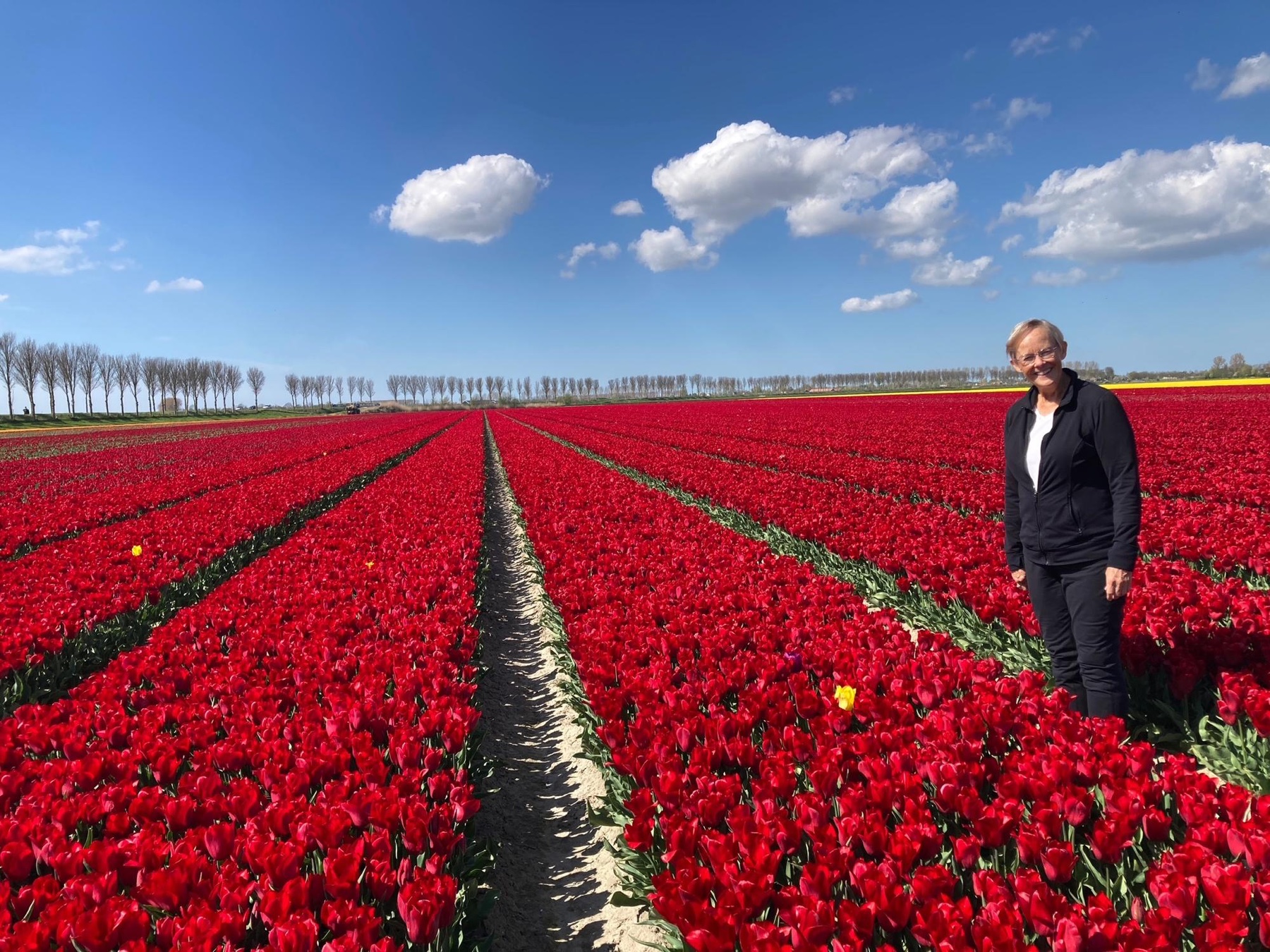 Mary Jean standing in a vast field of red tulips in the Netherlands under a bright blue sky